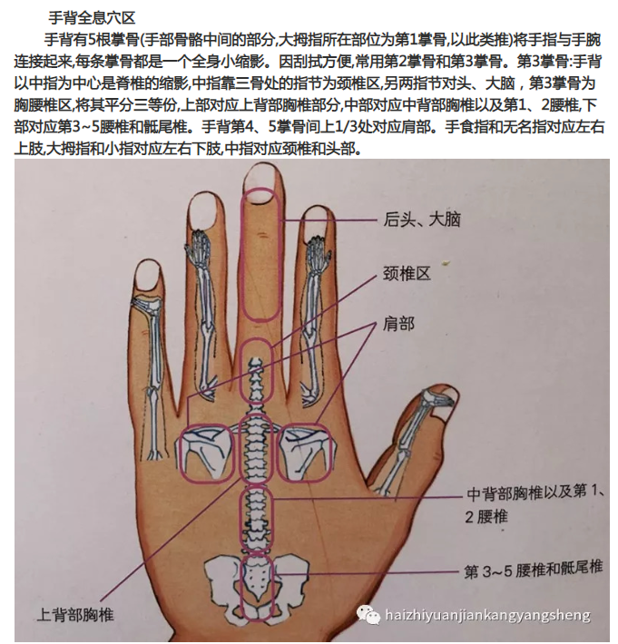 颈椎病调理案例分享：环境论为指导，第三掌骨诊断刮痧辨