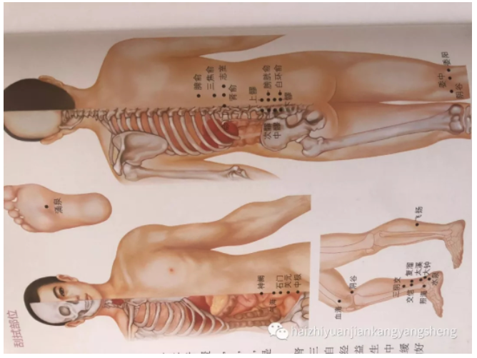 颈椎病调理案例分享：环境论为指导，第三掌骨诊断刮痧辨