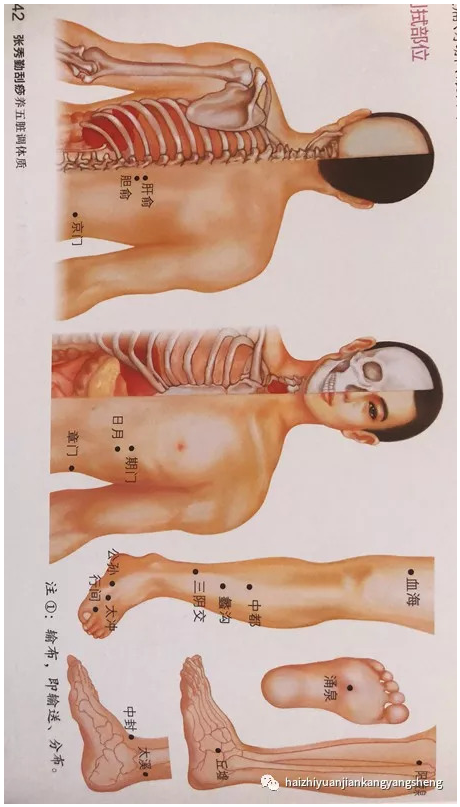颈椎病调理案例分享：环境论为指导，第三掌骨诊断刮痧辨