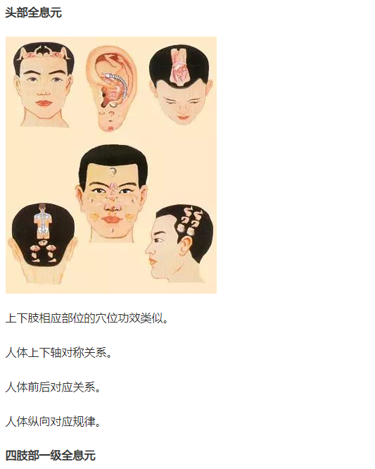 人体全息反射区图集锦：窥一斑而知全豹