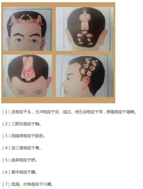 人体全息反射区图集锦：窥一斑而知全豹