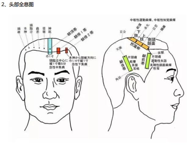 人体全息反射区图集锦：窥一斑而知全豹