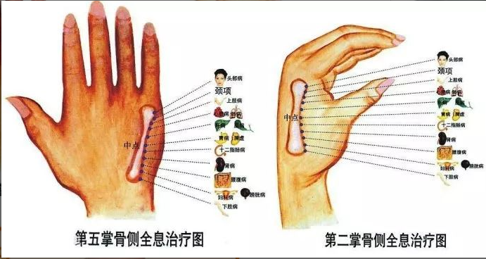 人体全息反射区图集锦：窥一斑而知全豹2