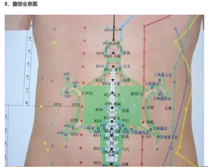 人体全息反射区图集锦：窥一斑而知全豹2
