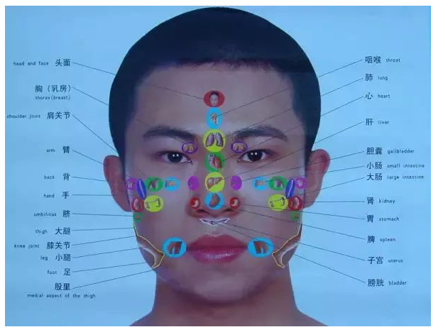 人体全息反射区图集锦：窥一斑而知全豹2