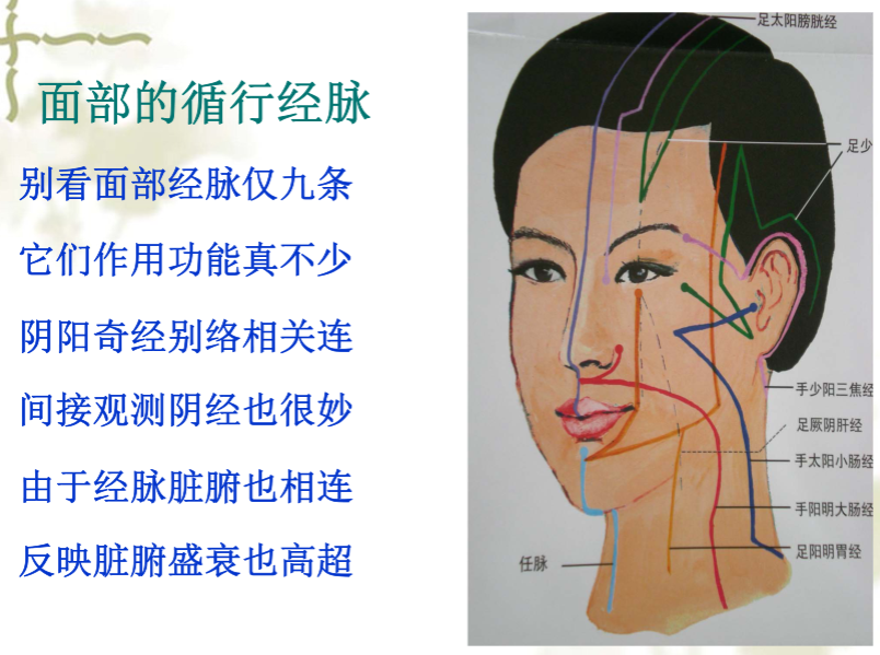 面部望诊与面部刮痧诊断1