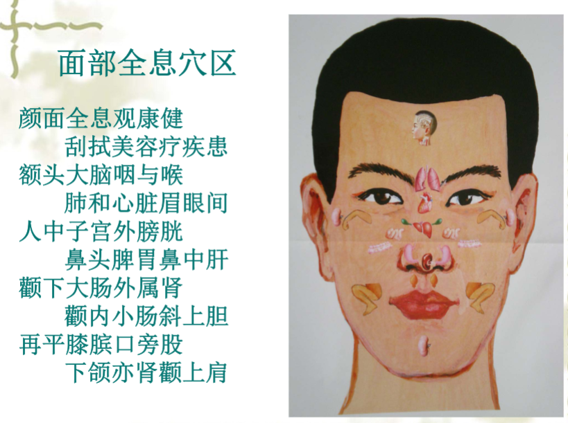 面部望诊与面部刮痧诊断1
