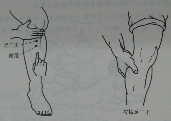 小儿常见疾病按摩治疗方法