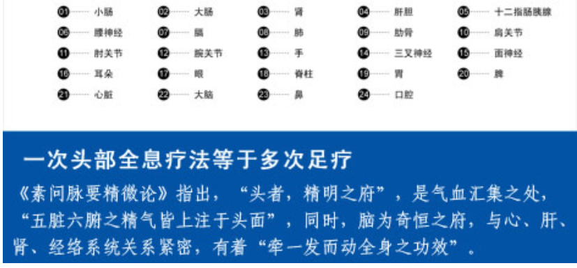 头部全息穴区（反射区）示意图