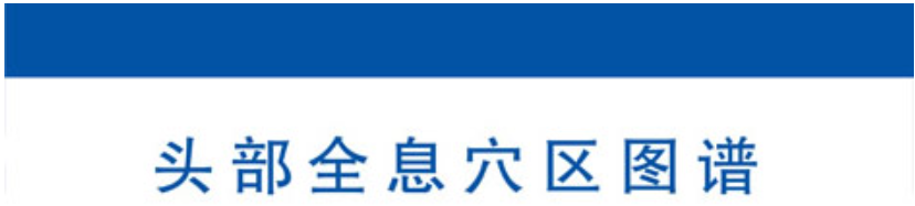 头部全息穴区（反射区）示意图