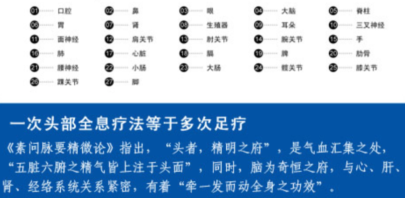 头部全息穴区（反射区）示意图