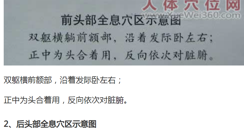 头部全息穴区（反射区）示意图