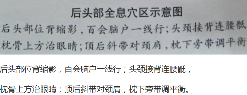 头部全息穴区（反射区）示意图
