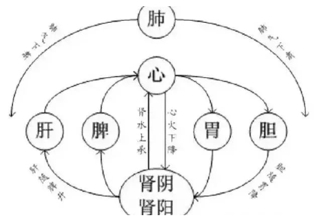 一图掌握中医精髓！（升降图