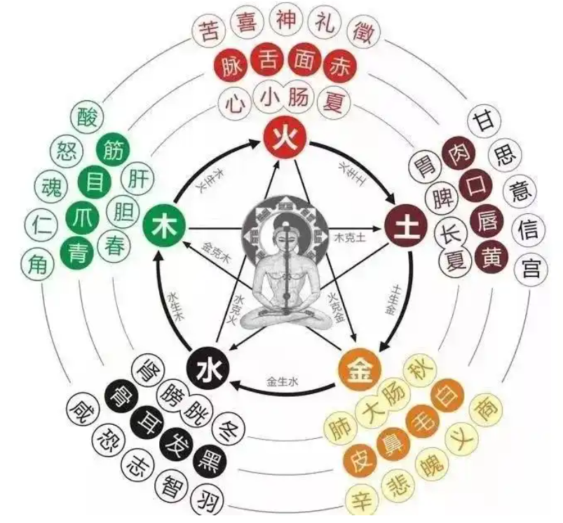 五气所病：心为噫，肺为咳，肝为语，脾为吞，肾为欠为嚏，胃为气逆为哕为恐