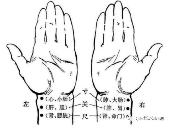 中医认为，左右手的“寸关尺”所代表的意义是不同